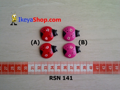 rsn 141 A B  large2